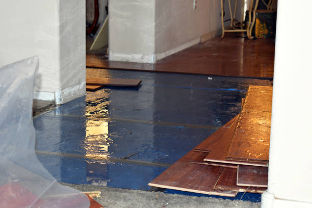 Professional Emergency Water Damage Restoration technician working in Paris, TX
