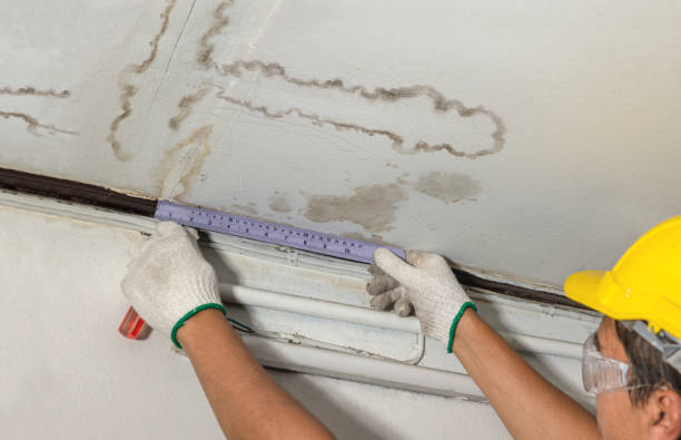 Reliable Emergency Water Damage Restoration contractor in Paris, TX by Water Damage Irwin